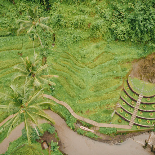 Alas Harum Bali: Ingresso de entrada - Photo 15