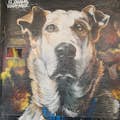"Loukanikos" dog mural