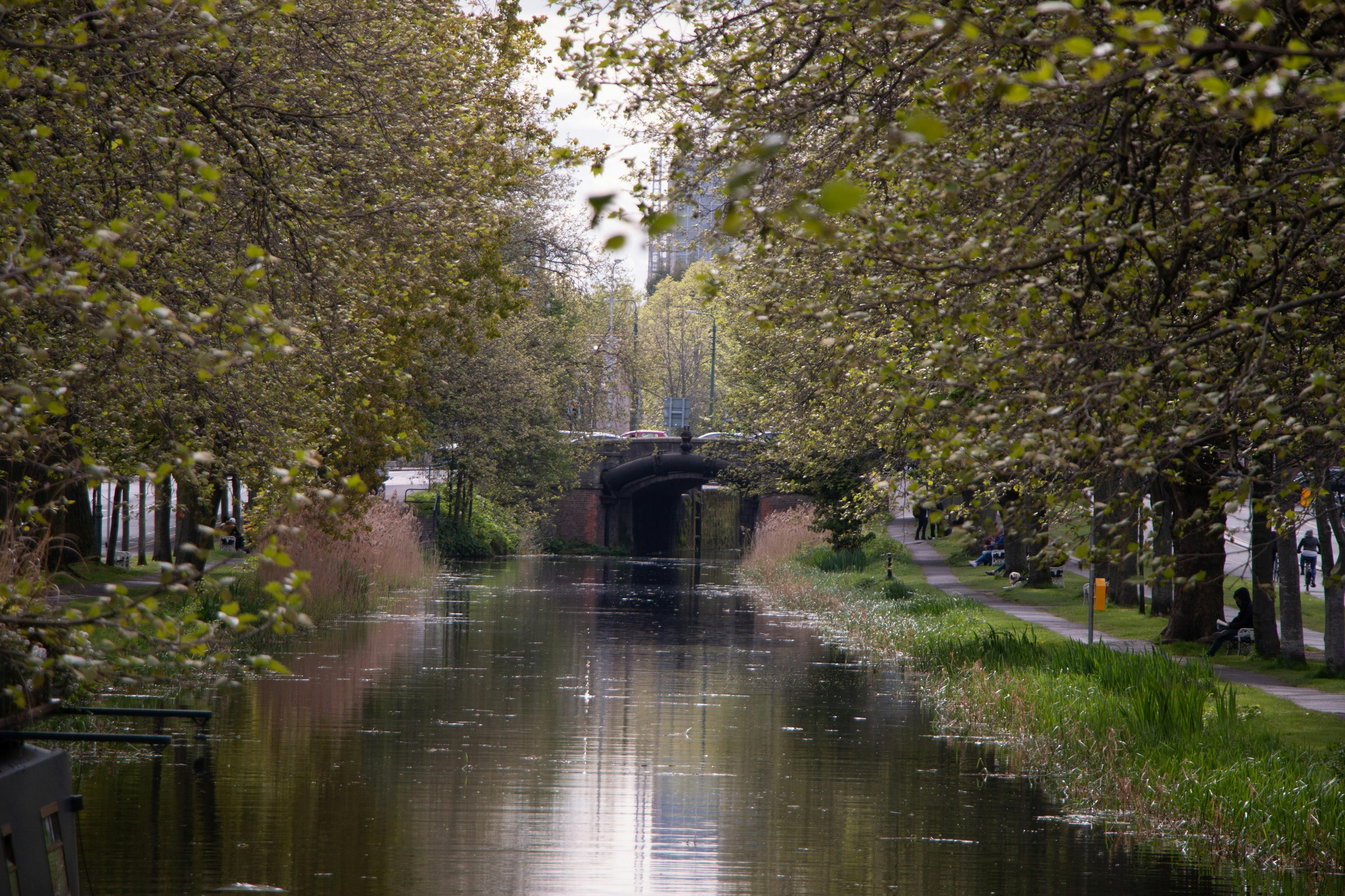 Dublin: 2-Hour Canal Cruise with 3-Course Dinner - Photo 8