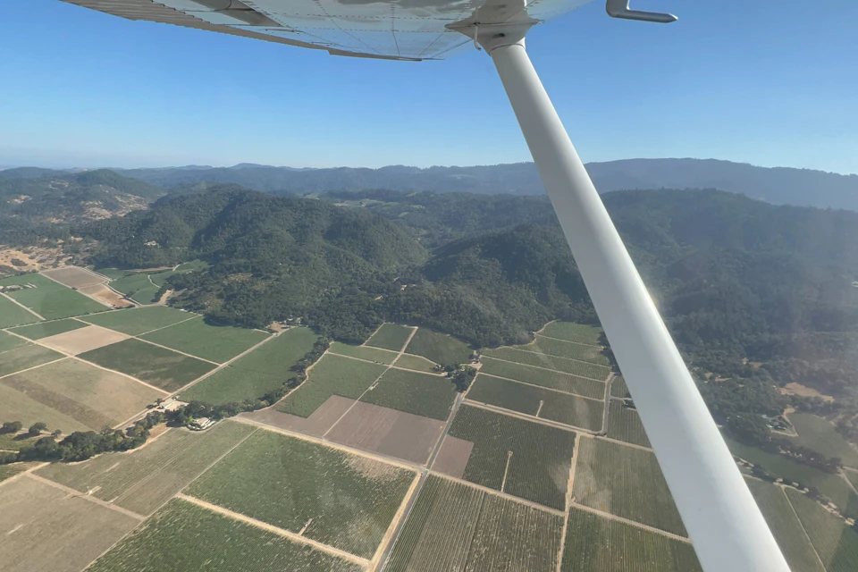 Beautiful sight of the vineyards