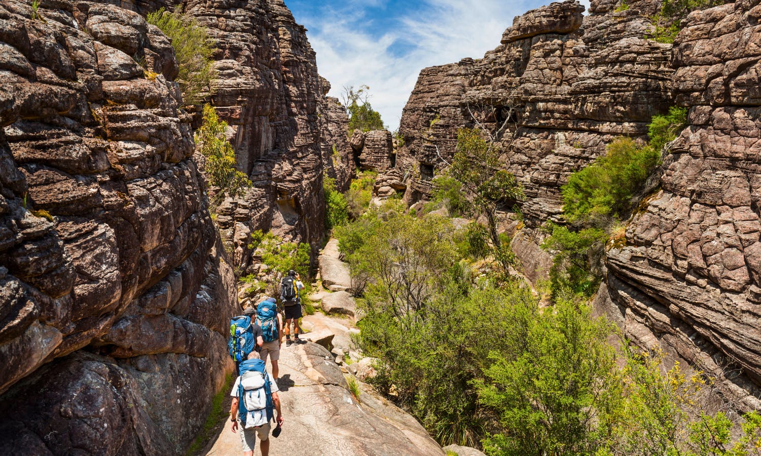 三个背着背包的徒步旅行者在蓝天下的茂密绿色岩石峡谷中漫步。