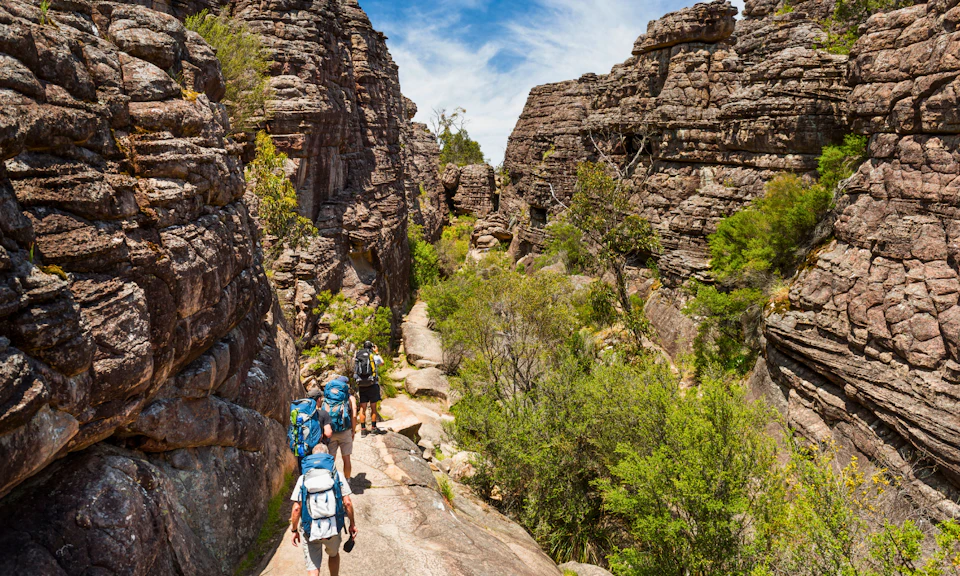 Three hikers with backpacks walking through a rocky canyon with dense greenery under a blue sky.