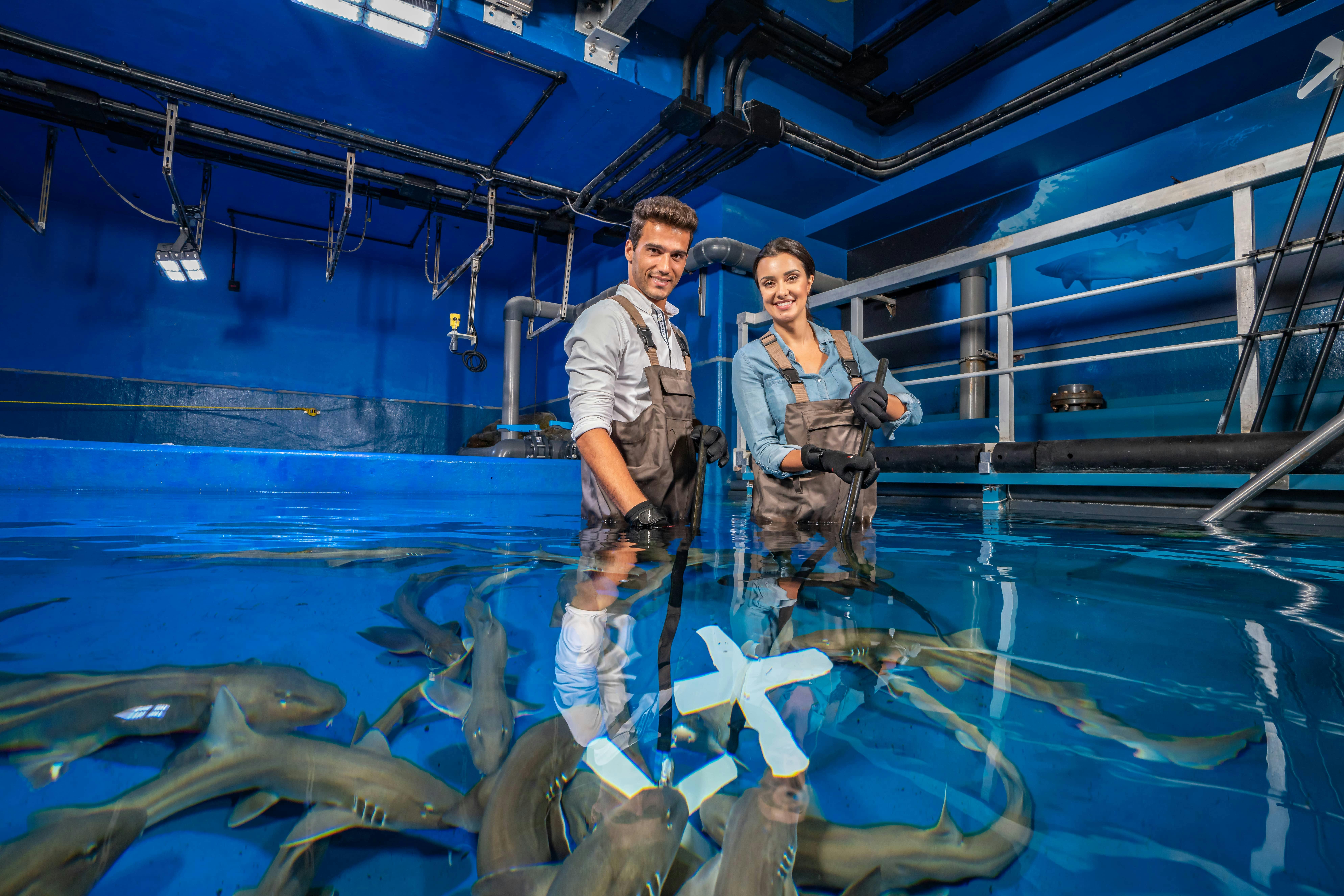 Dubai Aquarium & Zoo: Entry Ticket + Penguin Encounter