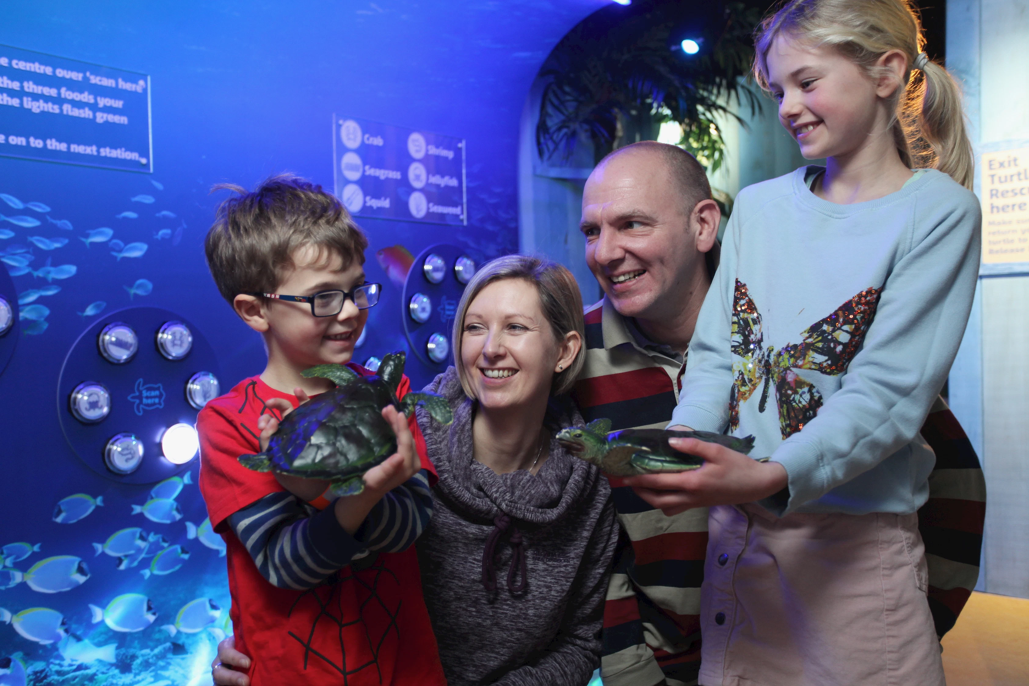 SEA LIFE + LEGOLAND Discovery Centre