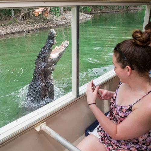 Hartley's Crocodile Adventures desde Cairns