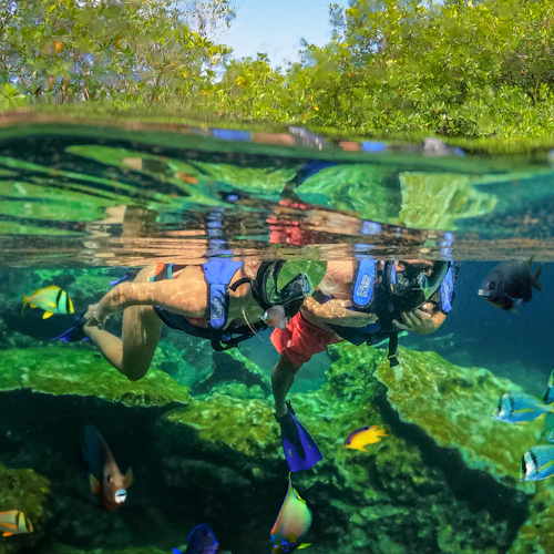 Tulum & Cenote Tour