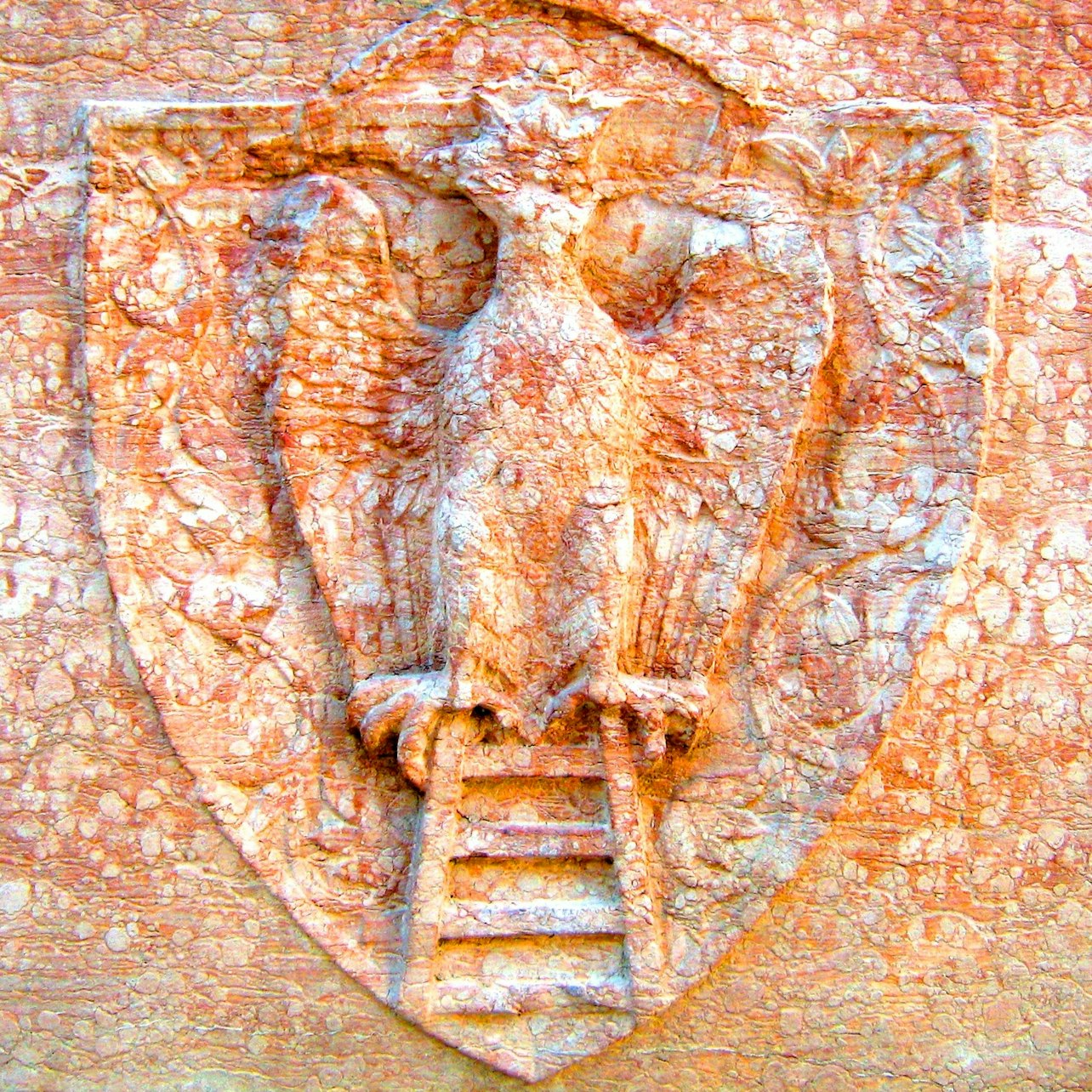 Gallery image 17