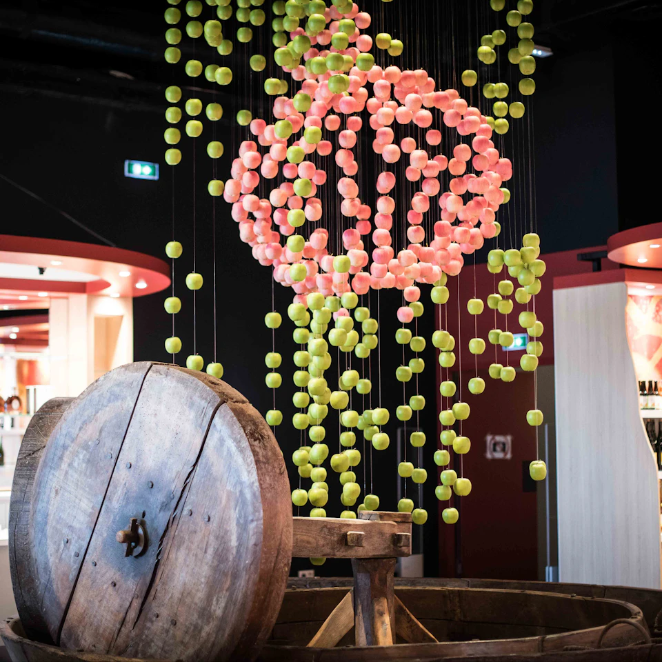 Large wooden barrel with a sculpture of hanging pink and green spheres in front of a modern indoor setting.
