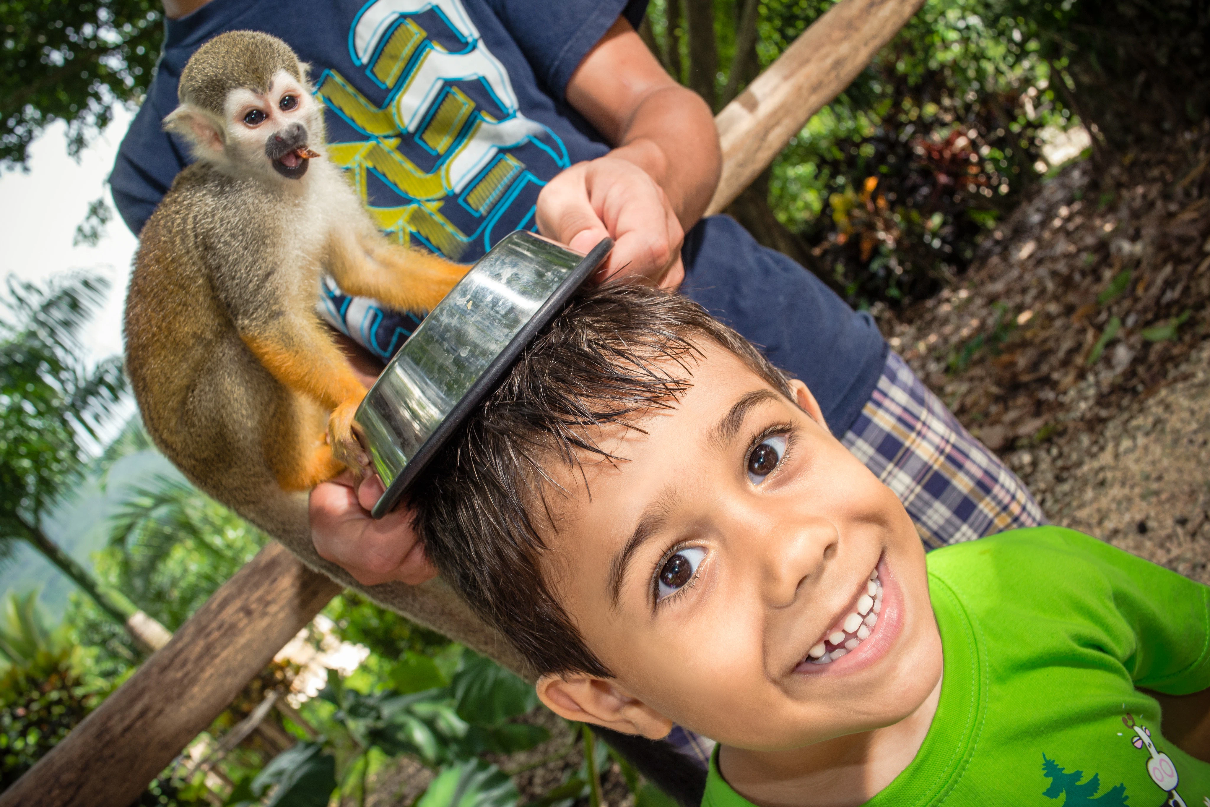 Monkeyland and Plantation: Guided Tour + Tasting + Roundtrip Transfer
