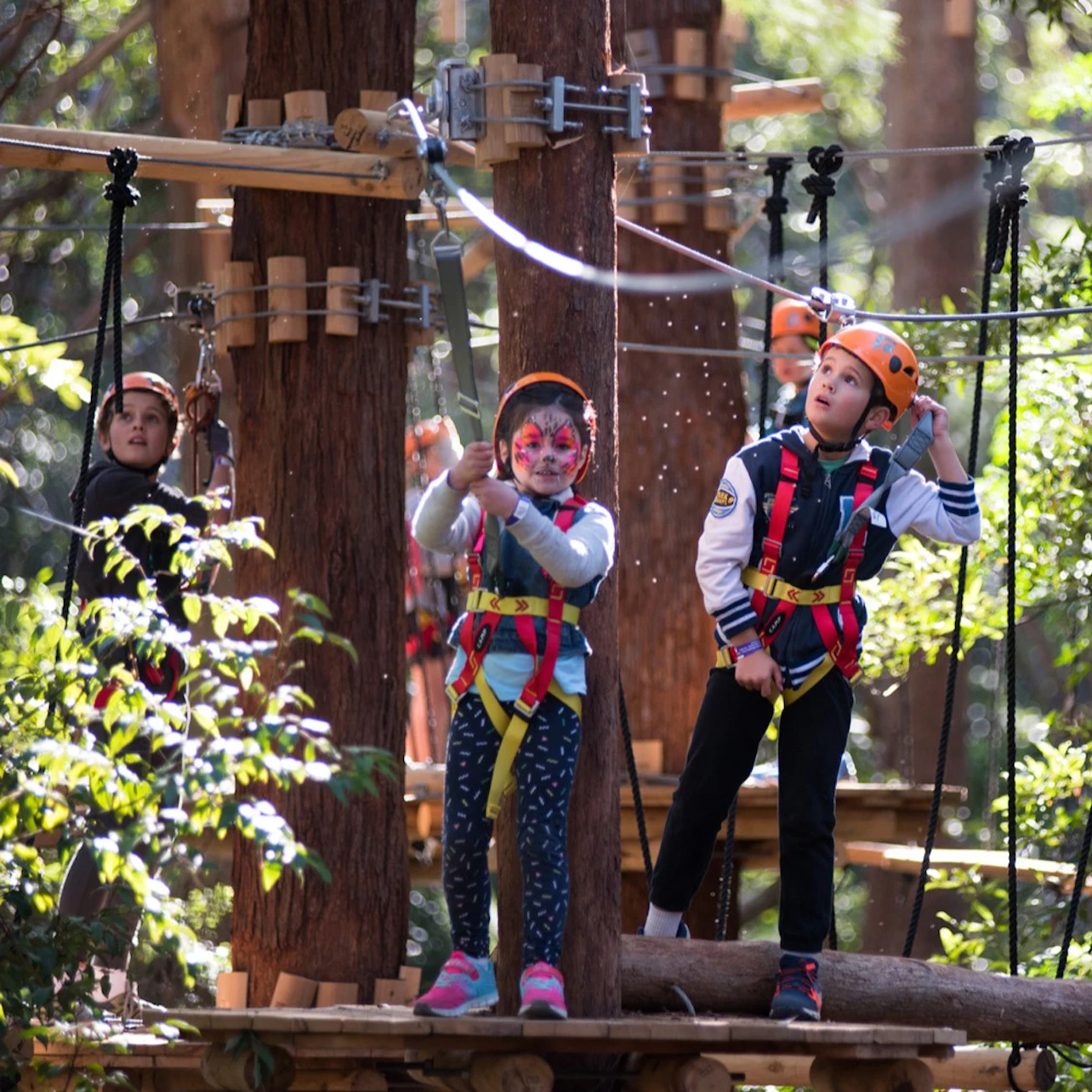 Treetops Adventure Belgrave: Junior Entry Ticket in Belgrave β Tiqets