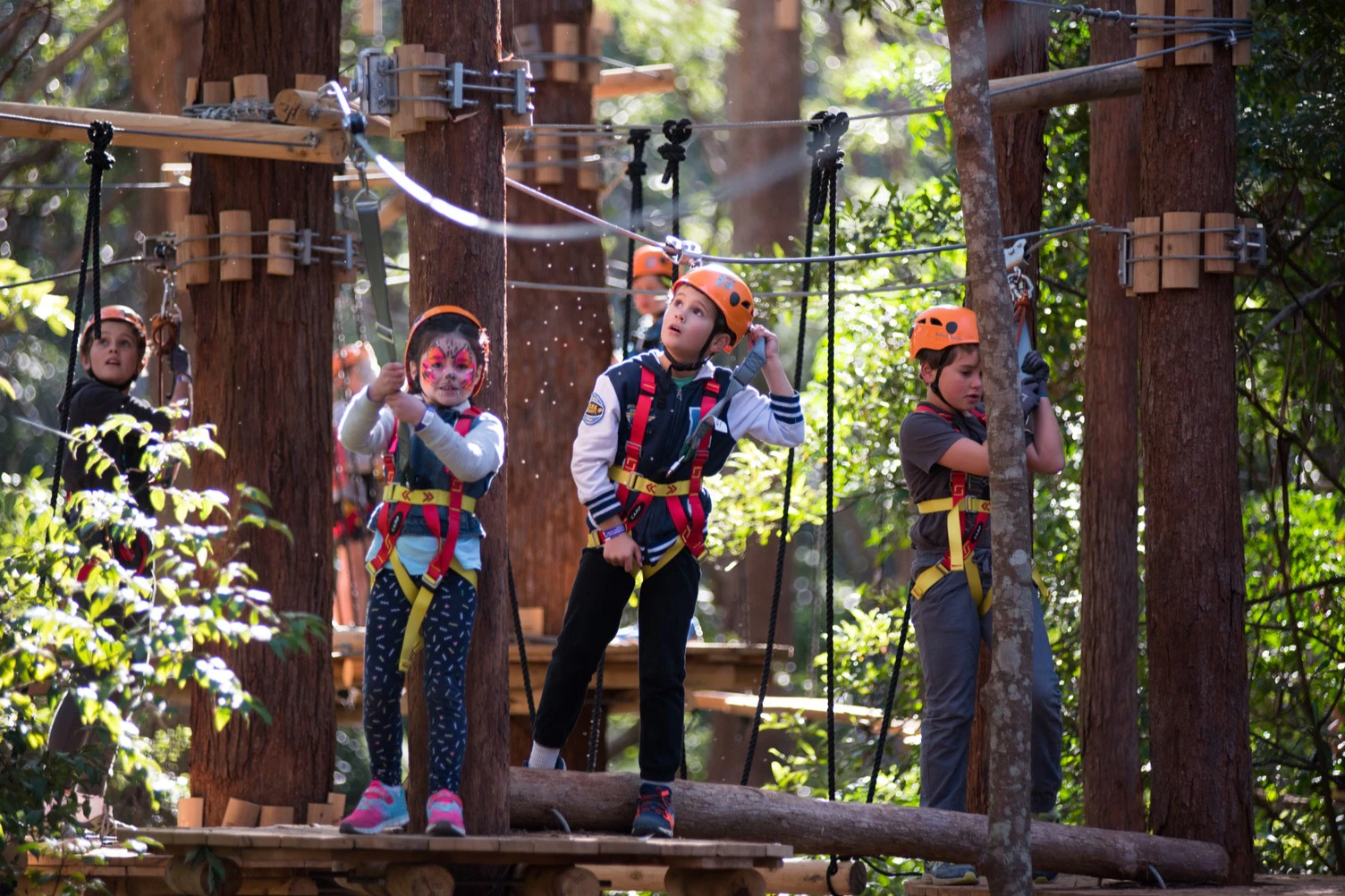 Treetops Adventure Belgrave: Junior Entry Ticket