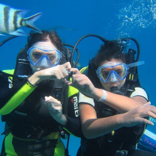 Hurghada: Guided Scuba Diving + Transfers + Lunch - Photo 5