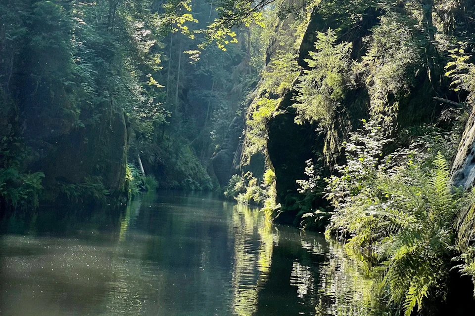 Kamenice river gorge