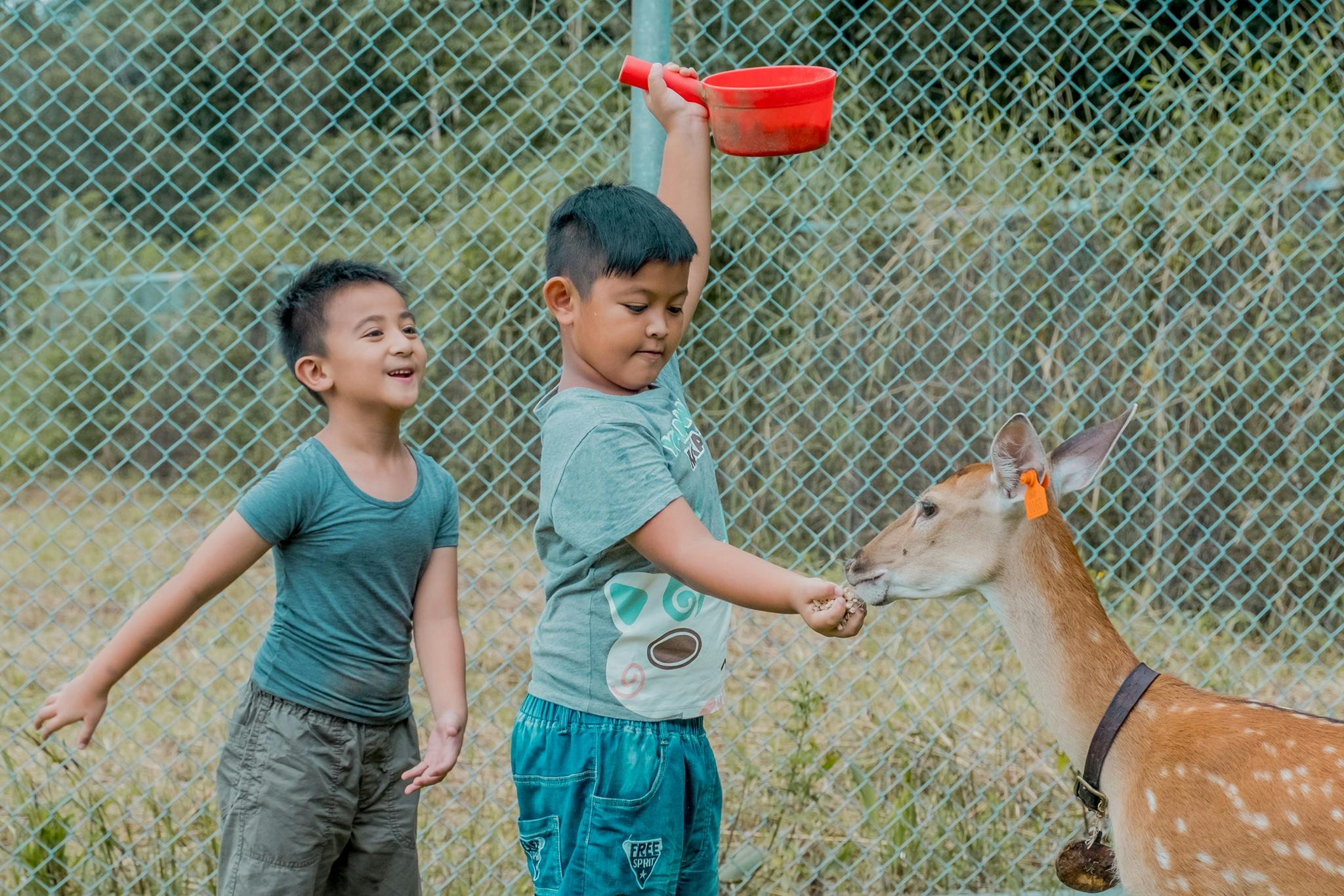 Two children feed a deer through a chain-link fence. One holds a red container while the other smiles and gestures.