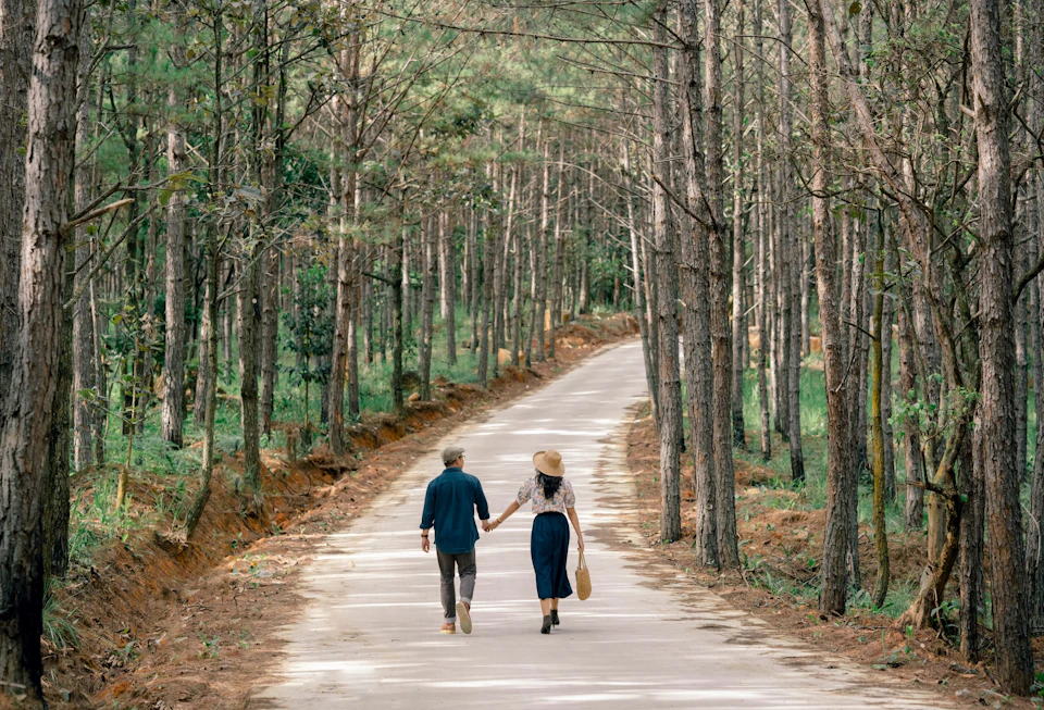 A couple walks hand in hand on a paved path through a forest of tall trees, with sunlight filtering through the canopy.