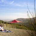 モンタルチーノの景色を眺めながらブドウ園でピクニック