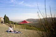 Picknick i vingården med utsikt över Montalcino