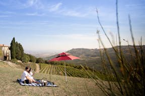 Picknick in de wijngaard met uitzicht op Montalcino