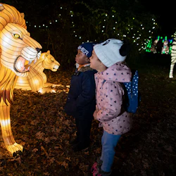 Bronx Zoo: Holiday Lights Tickets 3