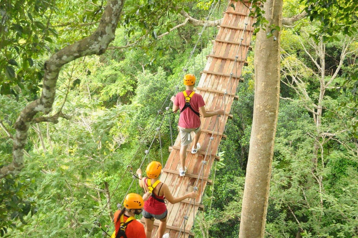Tre persone con caschi e imbracature attraversano un ponte sospeso in legno in mezzo a un fitto fogliame verde.