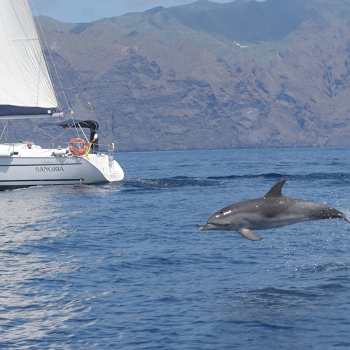 Tenerife: 6-Hour Private Sailing Tour to Los Gigantes with Swim, Drink & Tapas