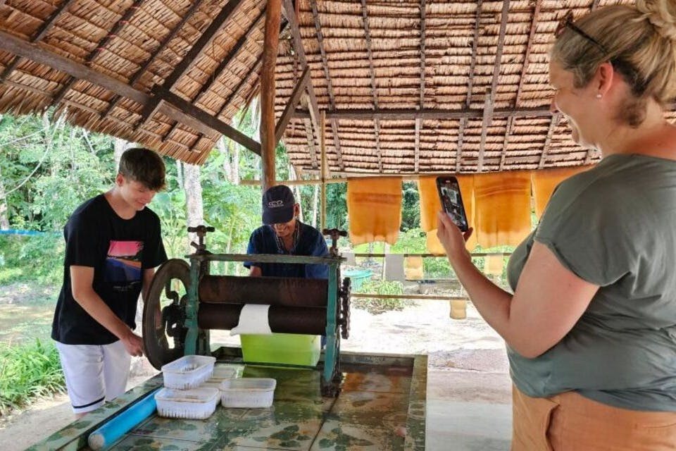 Μετακινηθείτε στα καουτσούκ δέντρα και παρακολουθήστε τη συναρπαστική διαδικασία του χτυπήματος του χυμού για το καουτσούκ.