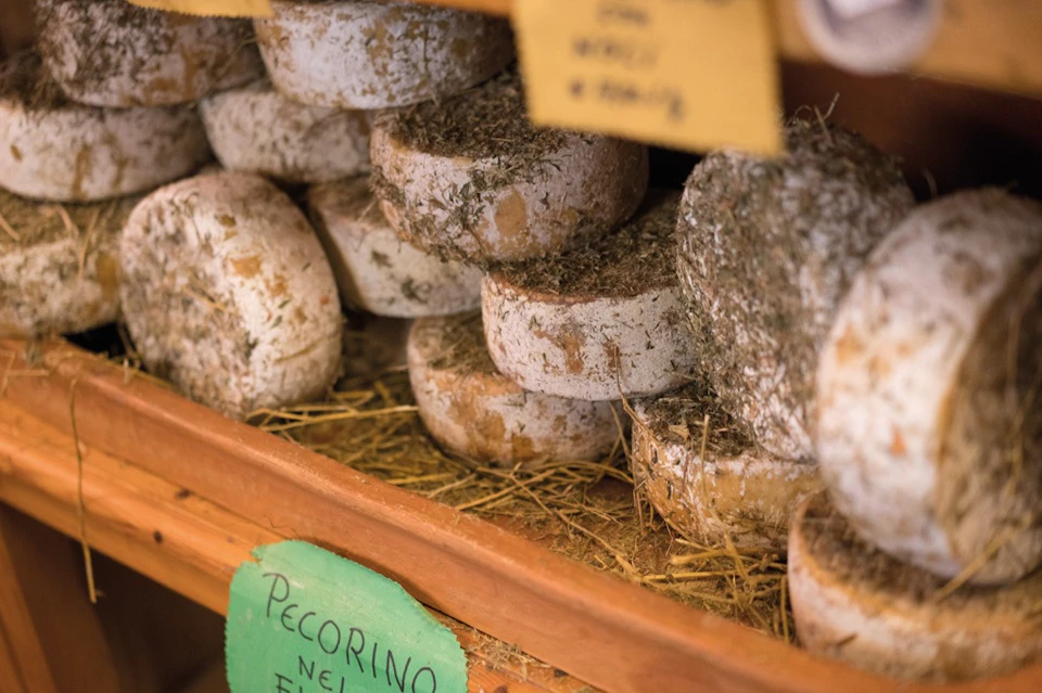 pecorino