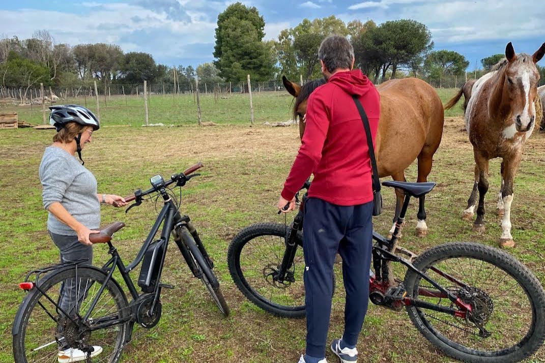 caballos en el camino