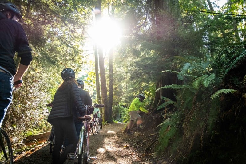 3人のサイクリストが森の中にいて、2人は自転車のそばに立っていて、1人は木を調べています。日光は木々の間を通過します。