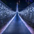 Αναρτημένη γέφυρα Capilano τη νύχτα