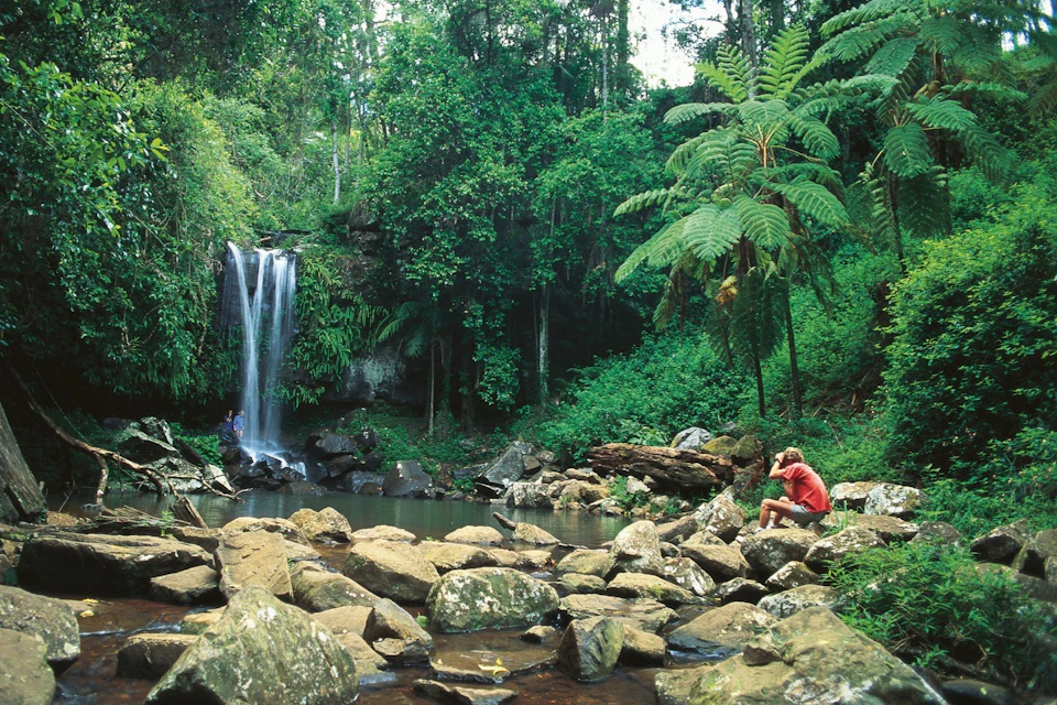 Curtis Falls
