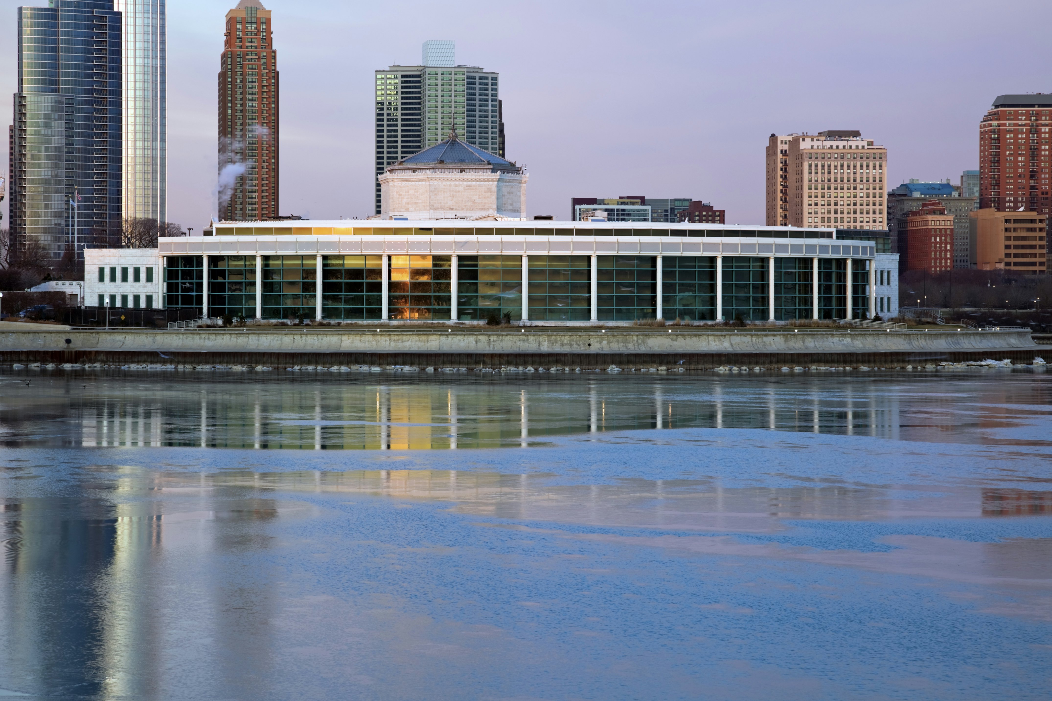 Tickets Shedd Aquarium Chicago