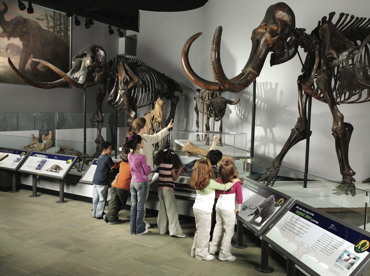 The Field Museum of Natural History: Admisión general + Exposiciones - Alojamientos en Chicago