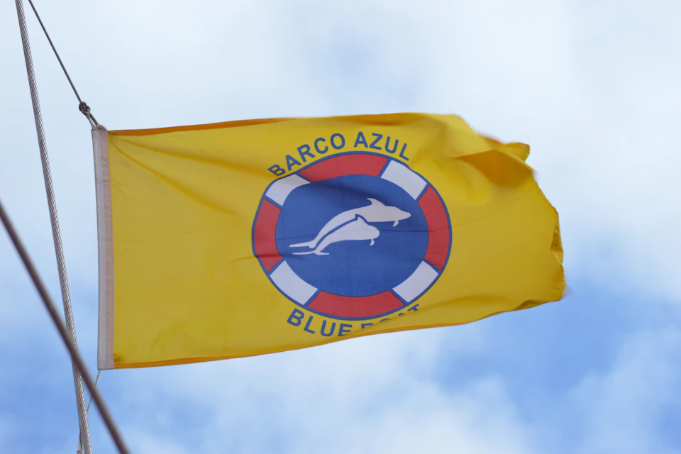 Legal permit for whale watching