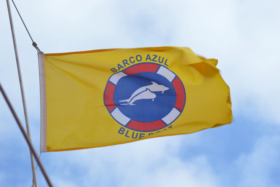 Legal permit for whale watching