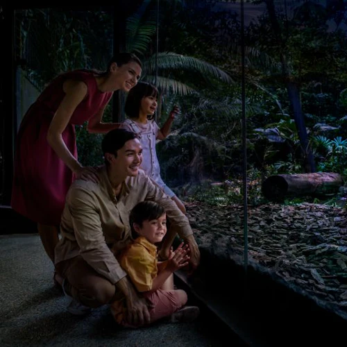 Singapore Night Safari with Tram Ride - Photo 4