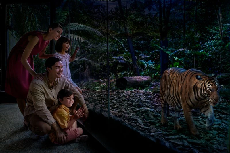 A family of four observes an indoor tropical habitat through a glass enclosure, with lush plants and a log visible inside.