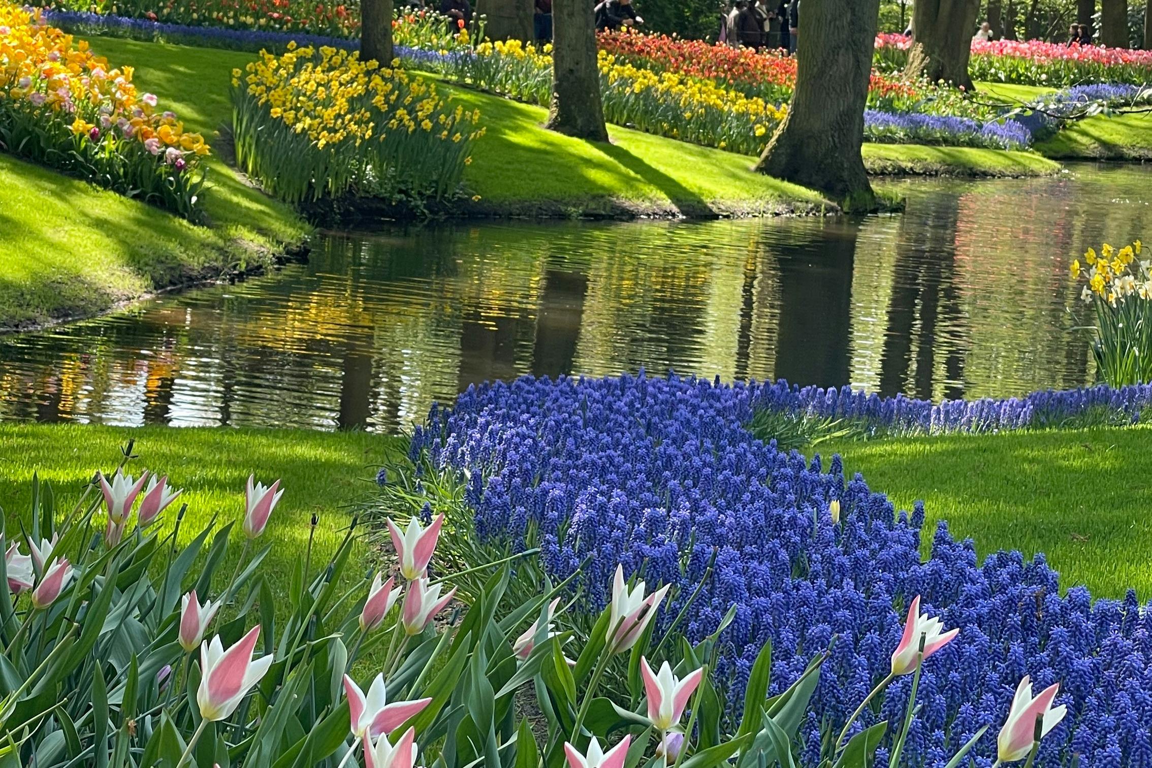 Keukenhof & Zaanse Schans: Guided Tour from Amsterdam 3