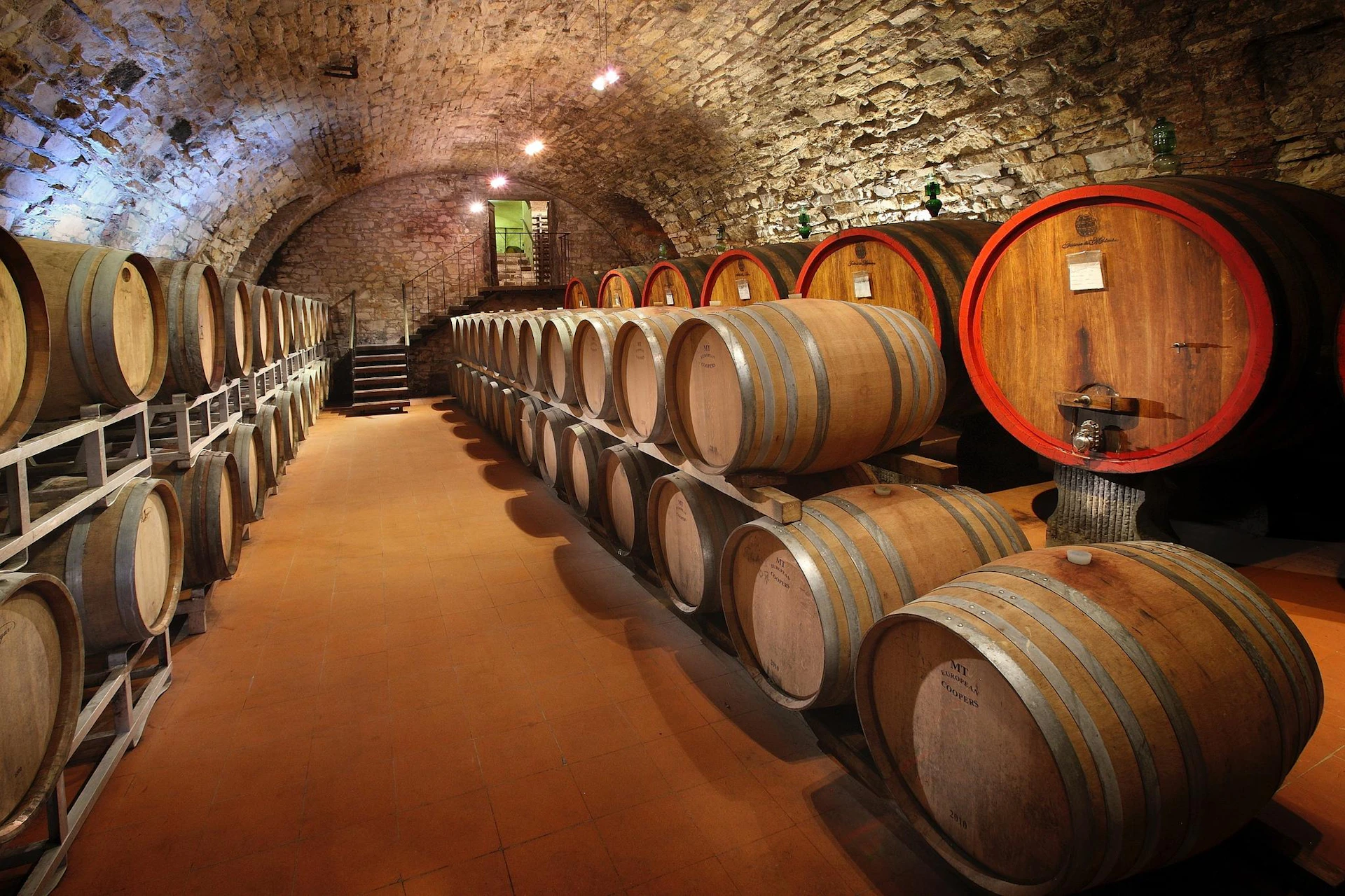 A stone-walled cellar filled with large wooden wine barrels, some with red rims, and a staircase leading up in the background.