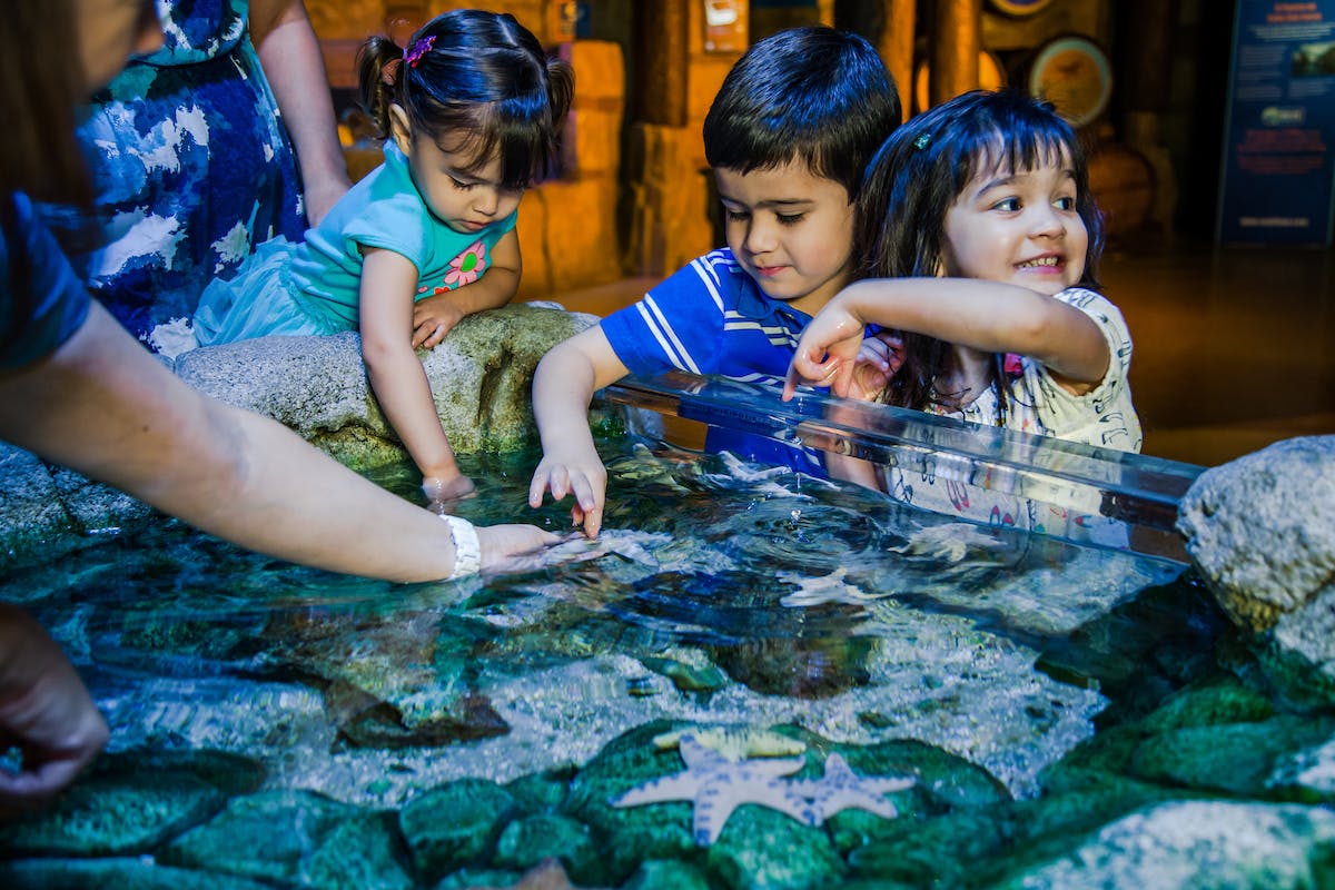 SEA LIFE Michigan & Peppa Pig World of Play: Entry Ticket 2