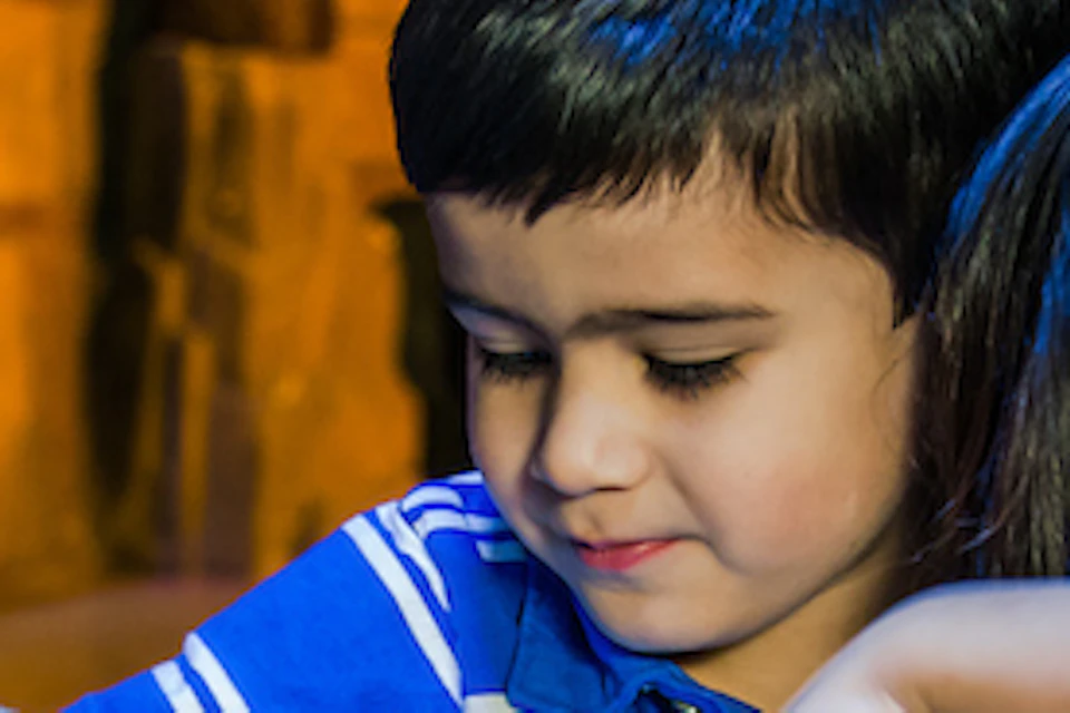 Children at an interactive aquarium exhibit, touching sea creatures in a shallow tank surrounded by rocks.