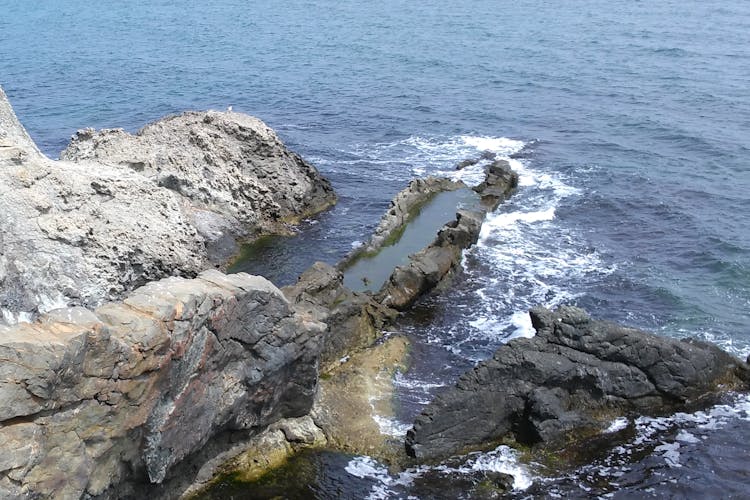 Isla de Santa Anastasia Viaje de ida y vuelta desde Burgas Entradas