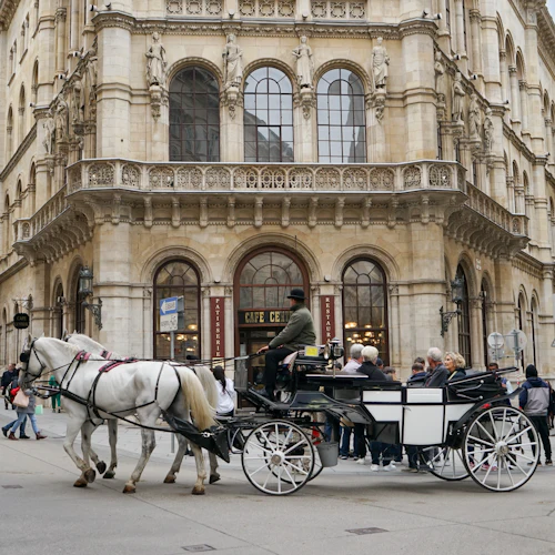 Vienna: Guided Walking Tour - Photo 6