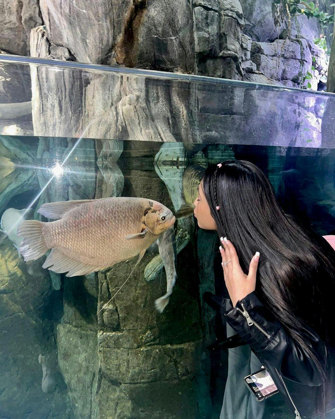 Downtown Aquarium Denver Tickets Tiqets