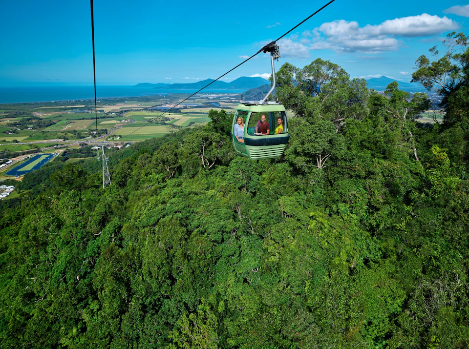 A green gondola carrying passengers travels above a lush forest, with a view of fields, mountains, and blue sky in the background.