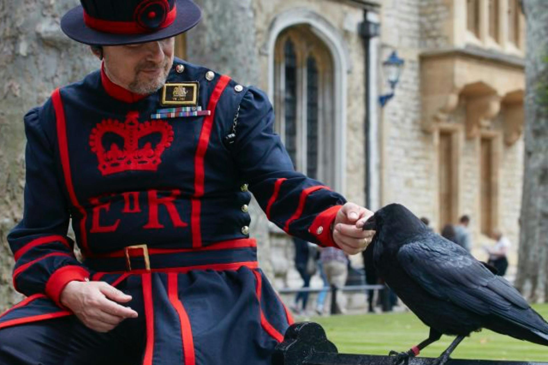 Πύργος του Λονδίνου - Βοδινό και κοράκι