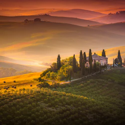 Monteriggioni & Val D'Orcia: Day Trip from Florence 5