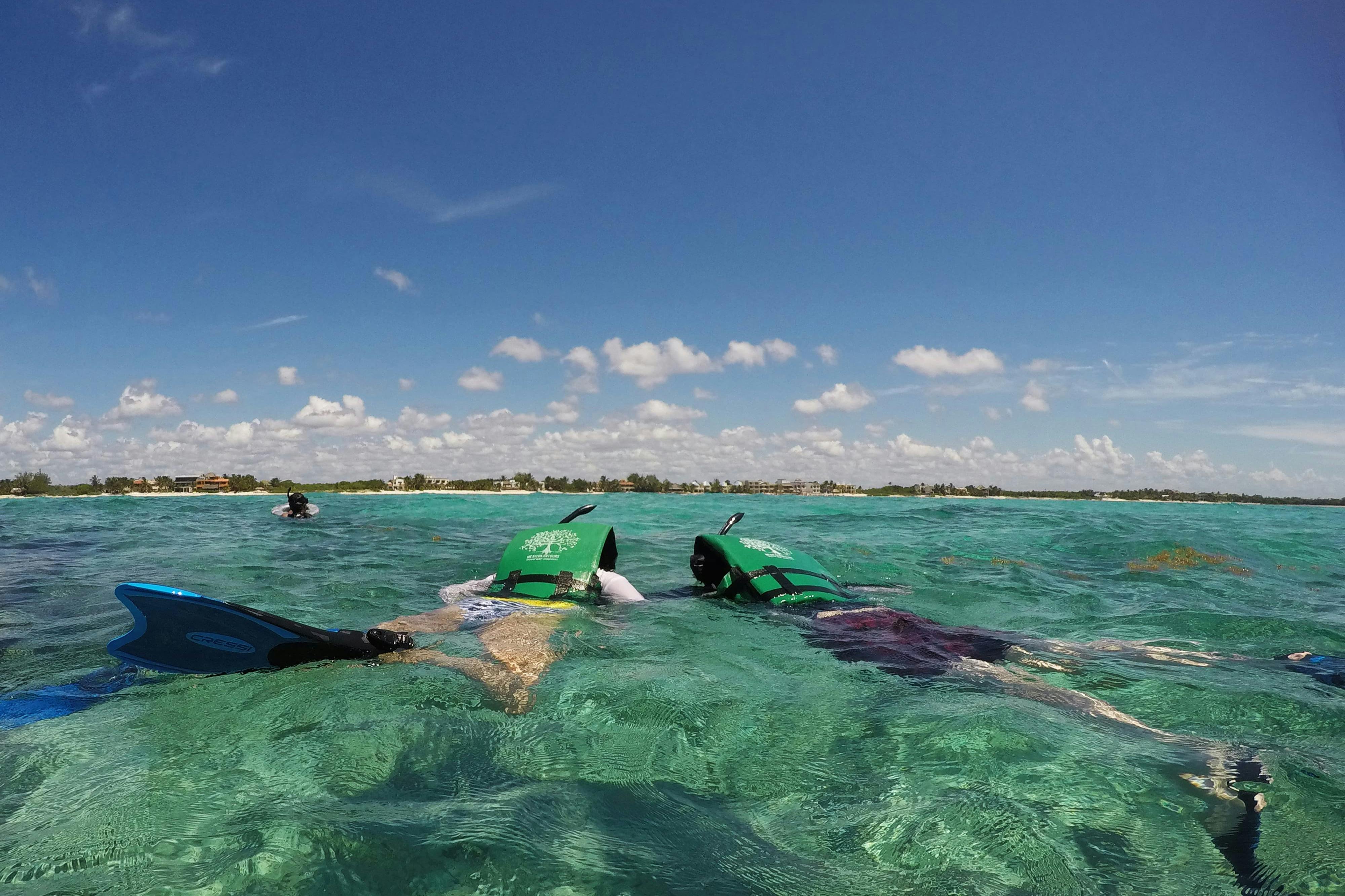 Tulum: Tour guidato di Snorkeling e Cenote + Trasferimento + Pranzo — 4