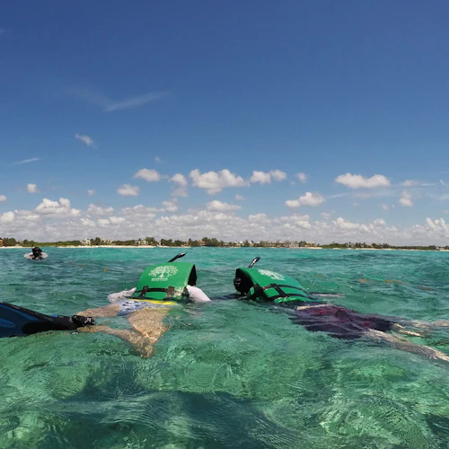Tulum: Snorkeling guiado e Cenote Tour + Transfer + Almoço - Photo 4