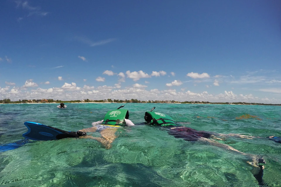 Snorkel